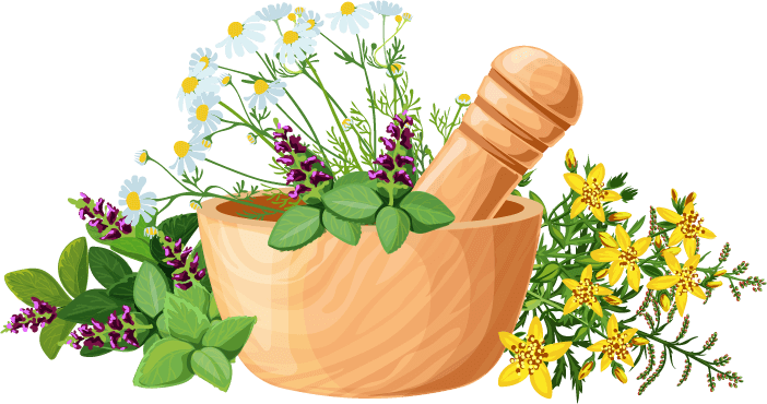 herbs
