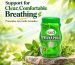blog-pranaplus